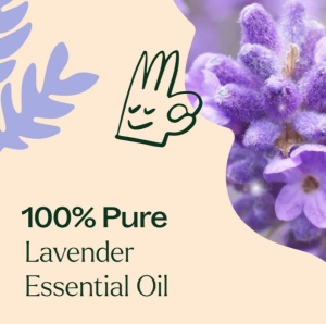 Lemon, Lavender and Peppermint Set – 3 buc x 10ml - Plant Therapy - Img 9