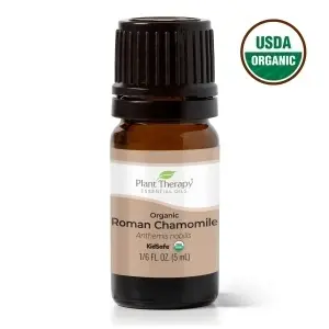 Organic Roman Chamomile - Img 3