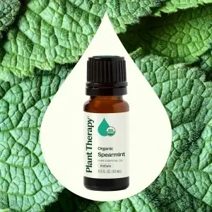 Organic Spearmint - Img 3