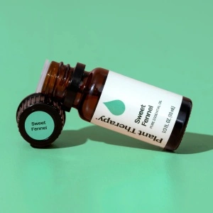 Sweet Fennel (Fenicul dulce) - Img 4