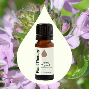 Thyme Thymol - Img 2