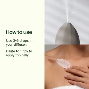 Eucalyptus Mint - Img 3