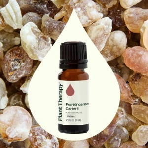 Frankincense Carterii (Tămâie Carterii) - Img 4