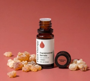 Frankincense Serrata (Tămâie indiană) - Img 2