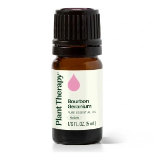 Geranium Bourbon (Mușcata Bourbon)