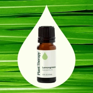 Lemongrass (Lămâiță) - Img 2