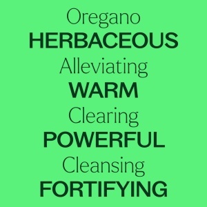 Oregano - Img 6