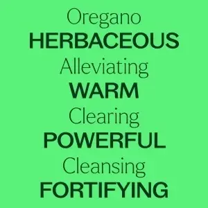 Oregano - Img 6