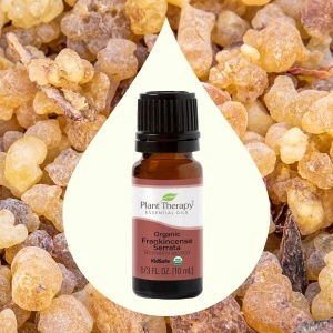 Organic Frankincense Serrata (Tămâie indiană organică) - Img 5