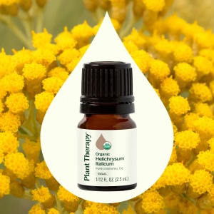 Organic Helichrysum Italicum - Img 3