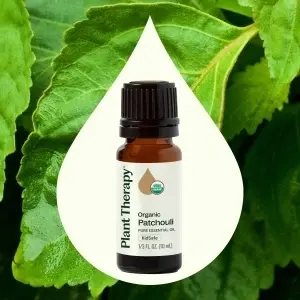 Organic Patchouli - Img 2