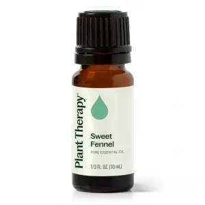 Sweet Fennel (Fenicul dulce)