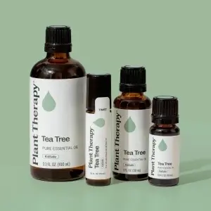 Tea Tree - Img 6