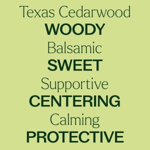 Texas Cedarwood (Cedru Texas) - Img 8