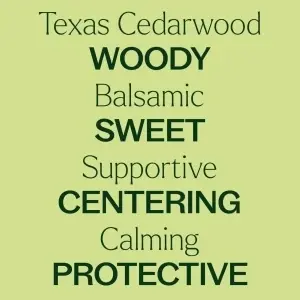 Texas Cedarwood (Cedru Texas) - Img 8
