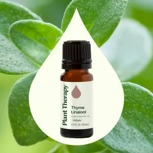 Thyme Linalool - Img 2