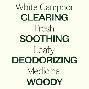 White Camphor (Camfor Alb) - Img 3