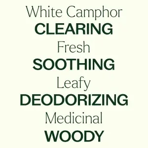 White Camphor (Camfor Alb) - Img 3