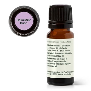 Balm Mint Bush (Mentă Balsamică Australiană) - Img 2
