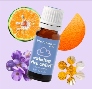 Calming the Child KidSafe - Img 4