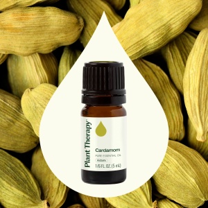 Cardamom - Img 3