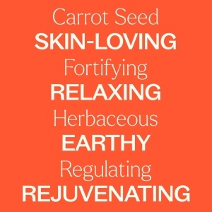 Carrot Seed (Semințe de Morcov) - Img 7