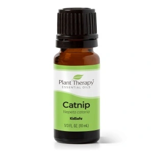 Catnip (Iarba Pisicii)