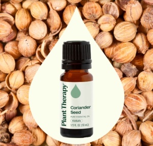 Coriander Seed (Semințe de Coriandru) - Img 2