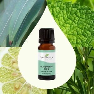 Eucalyptus Mint - Img 4
