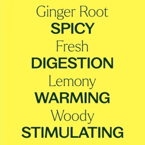 Ginger Root CO2 Extract (Extract de CO2 din rădăcină de ghimbir) - Img 7