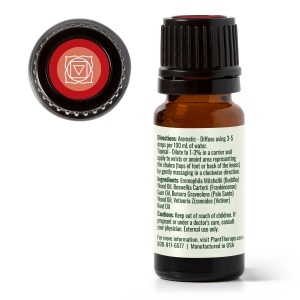 Grounded Foundation (Root Chakra) - Img 7