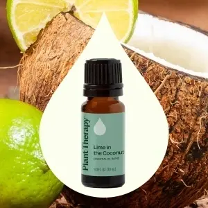 Lime in the Coconut - Img 2