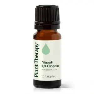 Niaouli 1,8-Cineole (Melaleuca Quinquenervia, Chemotip 1,8-Cineole)