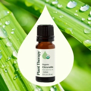 Organic Citronella - Img 3