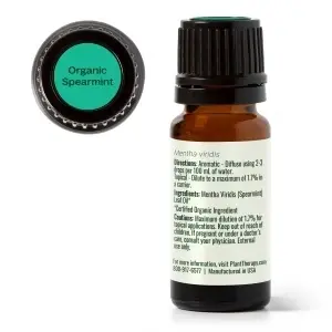 Organic Spearmint - Img 5