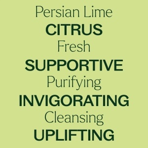 Persian Lime (Lime Persană) - Img 4
