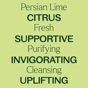 Persian Lime (Lime Persană) - Img 4