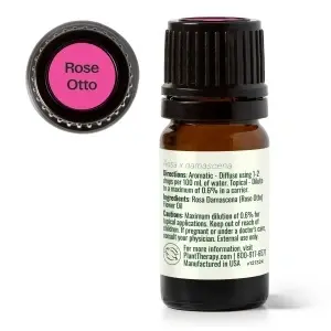 Rose Otto (Trandafir Otto) - Img 4