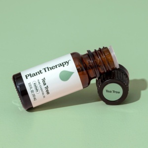 Tea Tree - Img 7