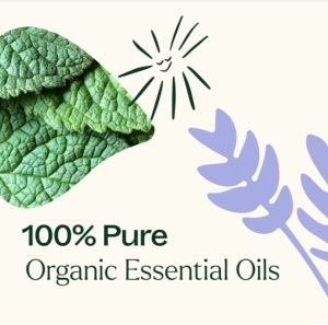 Top 3 Organic Singles Set (uleiuri esentiale top 3 organic set) – 3 buc x 10ml - Plant Therapy - Img 4