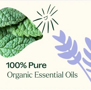 Top 3 Organic Singles Set (uleiuri esentiale top 3 organic set) – 3 buc x 10ml - Plant Therapy - Img 4