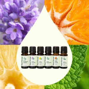 Top 6 Organic Singles Essential Oil Set (set top 6 organic uleiuri esentiale) – 6 buc x 10ml - Plant Therapy - Img 2