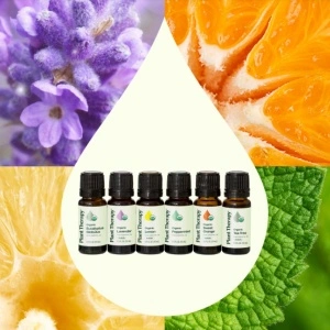 Top 6 Organic Singles Essential Oil Set (set top 6 organic uleiuri esentiale) – 6 buc x 10ml - Plant Therapy - Img 2