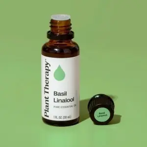 Basil Linalool (Busuioc Linalool) - Img 4
