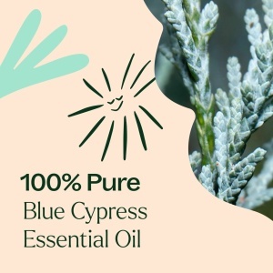 Blue Cypress (Chiparos Albastru), 10ml - Img 3