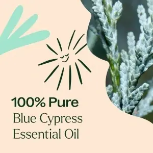 Blue Cypress (Chiparos Albastru), 10ml - Img 3