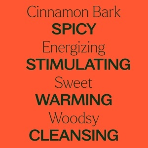 Cinnamon Bark (Scoarță de Scorțișoară) - Img 7