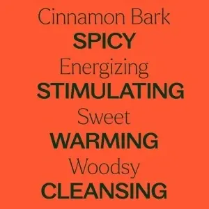 Cinnamon Bark (Scoarță de Scorțișoară) - Img 7