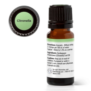 Citronella (Citronelă) - Img 2
