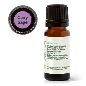Clary Sage (Salvie) - Img 5